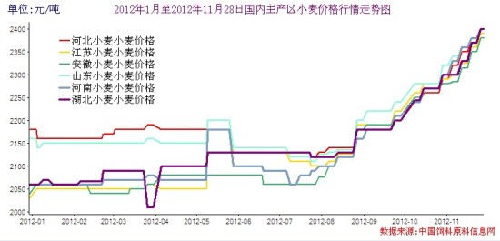 购销旺季粮源紧俏，小麦价格何去何从？