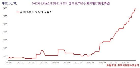 购销旺季粮源紧俏，小麦价格何去何从？