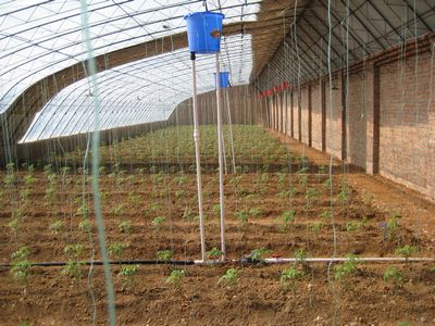 “痕灌”技术提高农作物用水效率 比滴灌技术节水50%