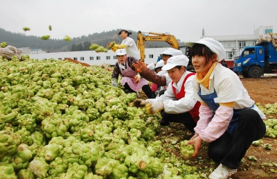 江苏省农业产业化让更多农民得实惠