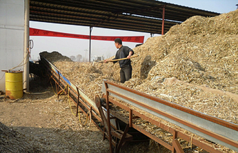 秸秆综合利用具备多重效益 不应简单“付之一炬”