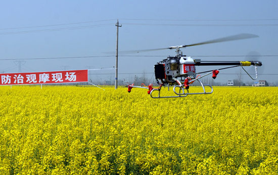 无人飞机喷药防治病害助推油菜生产全程机械化.jpg
