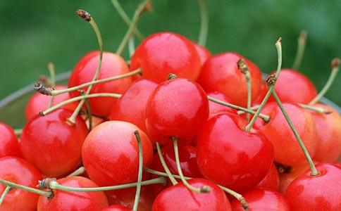 樱桃价格太高吓退顾客 一颗不下3元吃不起