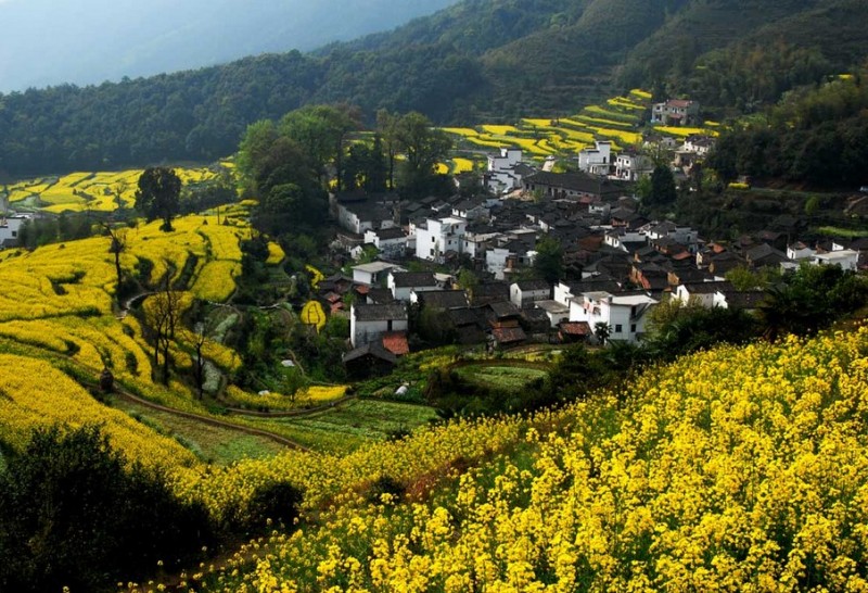 近30年40多万个村名消失 洋地名怪地名屡现