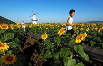 村官隋匀平和他的都市型示范农庄