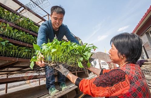 河北大学生村官秦醒：设施大棚承载创业梦想