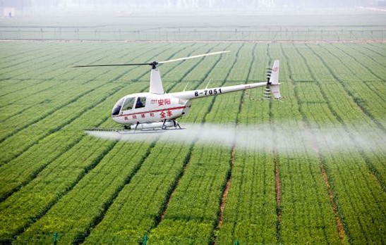 4月29日，直升机在对小麦进行&ldquo;一喷三防&rdquo;作业。