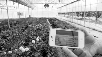 物联网如何与农业深度牵手？