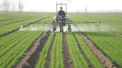 高效安全除草剂品种渐唱主角