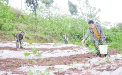 四川省广安市大学生村官杨宏林的现代农民梦