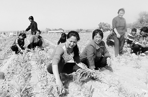 女大学生村官吴益丽：出身贫苦直起创业腰板