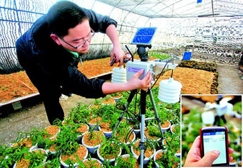 我国农业物联网应用现状