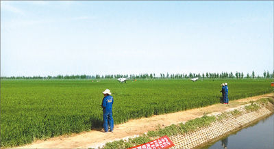 春耕时节不见农民打药身影?是什么在田间辛勤劳作