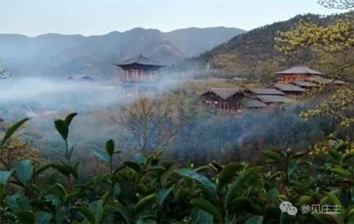 一个乡有民宿300多家 半数营业额超百万 他们是怎么做到的？