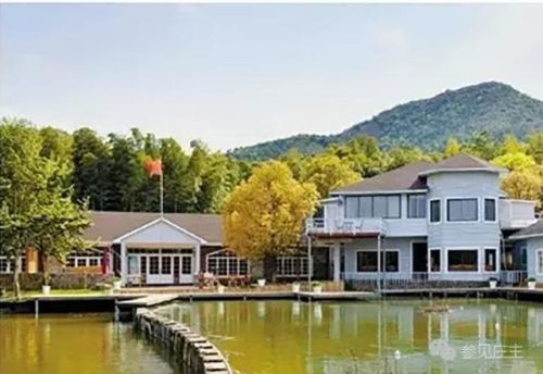 一个乡有民宿300多家 半数营业额超百万 他们是怎么做到的？