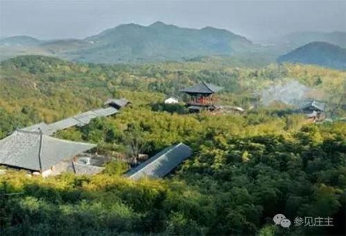 一个乡有民宿300多家 半数营业额超百万 他们是怎么做到的？