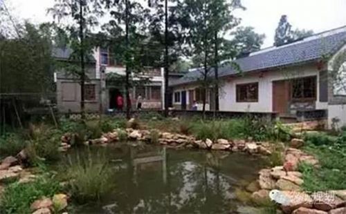 一个乡有民宿300多家 半数营业额超百万 他们是怎么做到的？