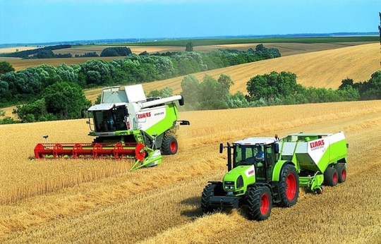 怪哉！河南连续十三年增产 却现“卖难又见买难”