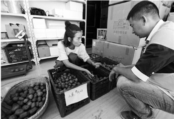 莫斯科女海归养鸡鸭每只都养足两年