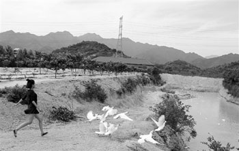 莫斯科女海归养鸡鸭每只都养足两年