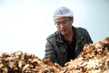 生药学博士返乡种植有机中药材