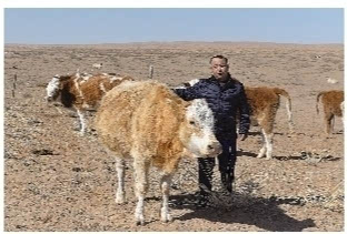 赛那：“养牛是条致富好门路”