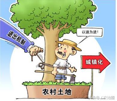 国内首个农村承包地有偿退出！10亩荒地32万你觉得亏吗？