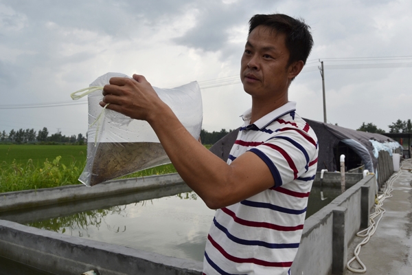 丁杰：80后小伙的“泥鳅致富梦”