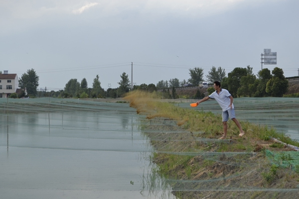 丁杰：80后小伙的“泥鳅致富梦”