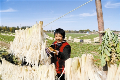 内蒙古奈曼旗：萝卜里悟出“致富经”