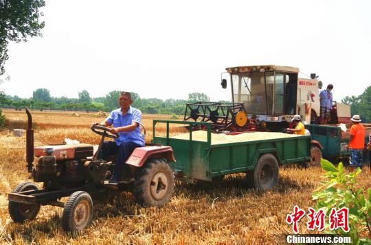 满载而归，的哥樊军亭脸上的笑意藏也藏不住。　韩章云 摄