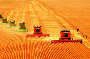 “北大荒”打造现代农业航母的启示