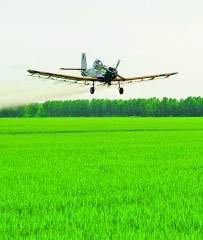 “北大荒”打造现代农业航母的启示