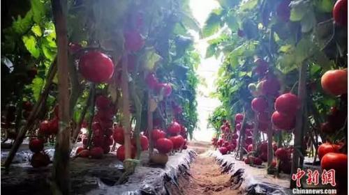 点击进入下一页