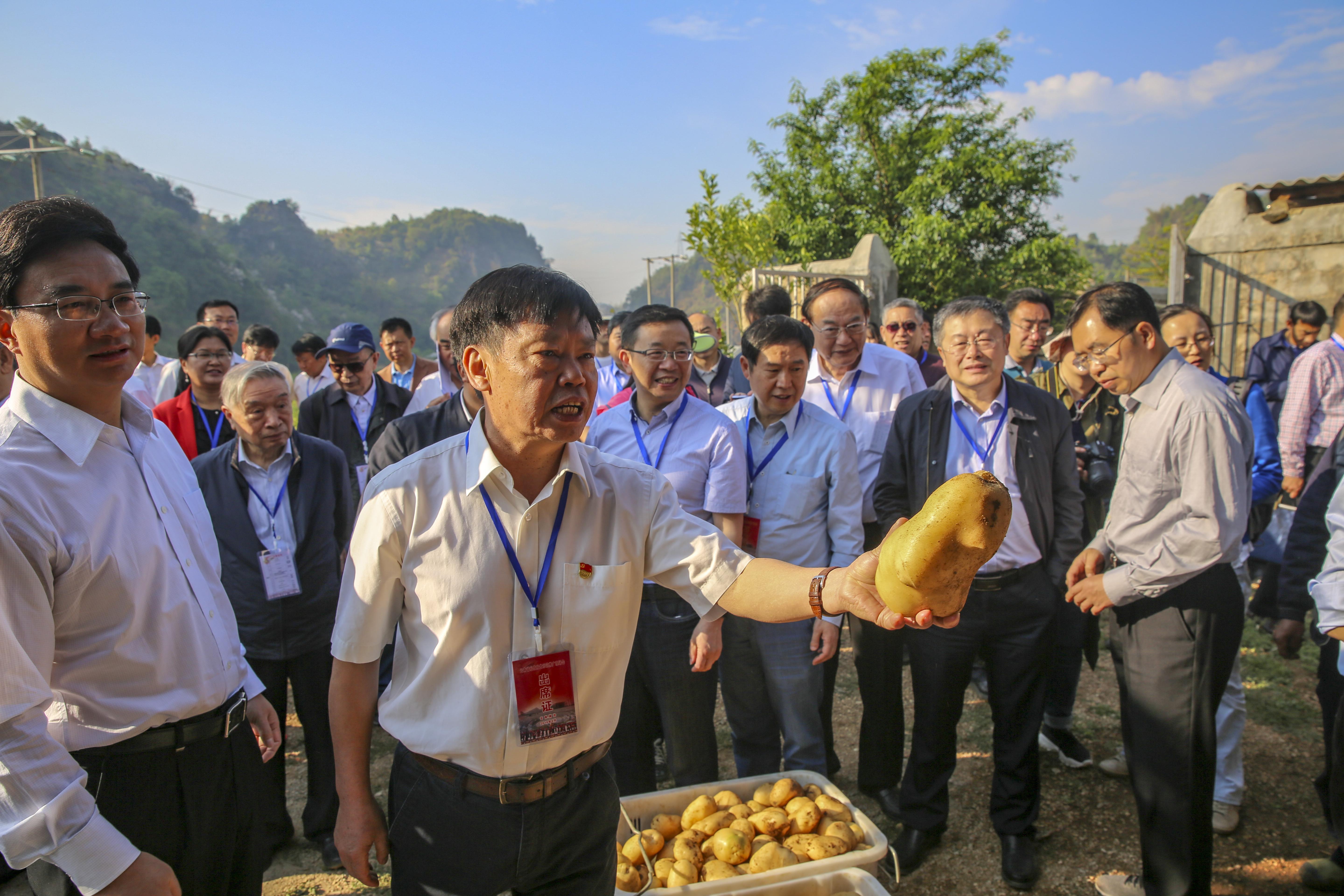 要把论文写在大地上记农民院士朱有勇
