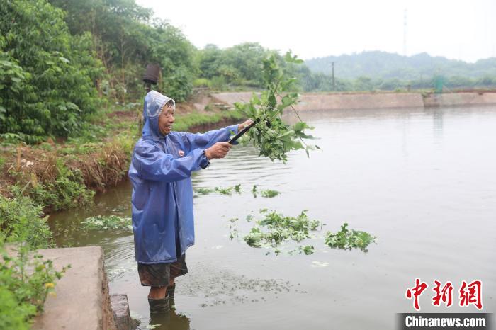 湖南衡阳农民用“农家小院”种出了“甜日子”