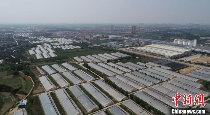 山西一村农民收入翻番记：从世代种玉米到家家有大棚