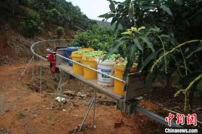 广西推进优势特色农作物生产机械化将向东盟示范推广