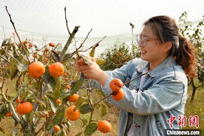 安徽：诗意乡村激发乡村振兴新动能