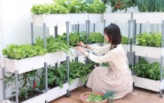 阳台农业 小众群体催生的百亿元级市场