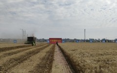 1800һСʾﵥ¼ˢ