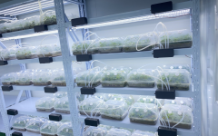 河南卢氏县农业生产数据在上海数交所挂牌