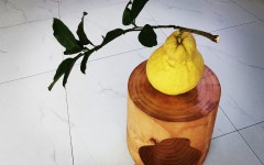 重庆:从“守着金元宝穷”到“年入超7亿”!