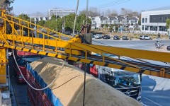 653万吨!安徽秋粮收购稳步推进