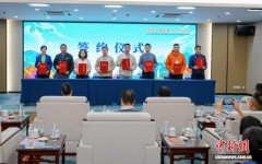 广西搭建秋冬水果产销对接桥梁 助力“桂果”畅销全国