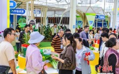 6000多个新优奇特品种亮相广东种业博览会