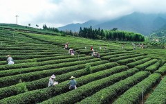 ������������������̨�ں�������