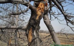 ����ƻ�������ò��÷���