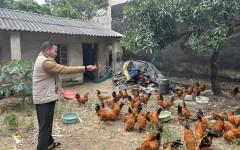 �������ò�����ũ�ʽ�׼���ιࡱ�������