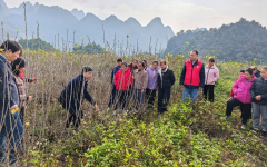 �����������������������ɣ��ҵ������Ч